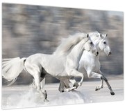 Obraz - Biele kone v zime (70x50 cm)