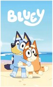 Detská polar fleece deka Bluey a Bingo - 100 x 150 cm