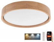 Brilagi - LED stropné svietidlo MANAROLA SMART LED/24W/230V + DO Tuya