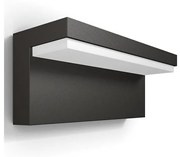 Philips - LED Vonkajšie nástenné svietidlo BUSTAN LED/3,8W/230V 4000K IP44