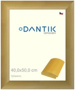 DANTIK rám na obraz 40x50 | Vyřazeno | RENÉ přírodní (Sklo Čiré)