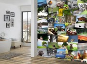 1Wall Kreatívna koláž na stenu 64 dielov 37,5 x 27,5cm Farma