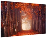 Obraz - Jesenné les (90x60 cm)