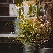 DECOLED LED světelný řetěz, 20 x 3 m, teple bílá, 600 diod