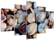 Obraz mušlí (150x105 cm)