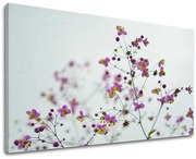 Obraz na stenu KVETY | rôzne rozmery