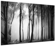 Obraz - Vlk v temnom lese (90x60 cm)