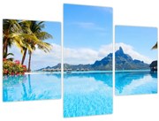 Obraz - Palmy a pláže (90x60 cm)