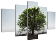 Obraz - Osamotený strom (150x105 cm)