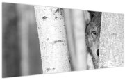 Obraz - Vlk v lese (120x50 cm)