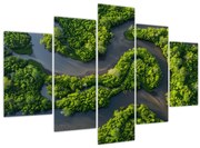 Obraz - Lesná krajina s riekou (150x105 cm)