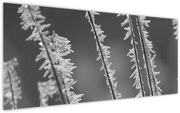 Obraz - Mrazivá zima (120x50 cm)