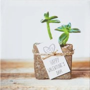 Obraz tlačený na plátne 28x28 PRC903