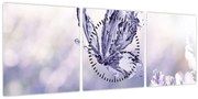 Obraz - Motýľ a levanduľa (s hodinami) (90x30 cm)