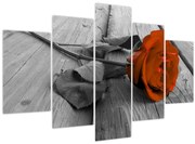 Obraz - Oranžová ruža (150x105 cm)