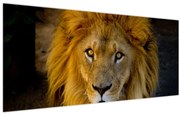 Obraz - Portrét leva (120x50 cm)