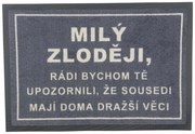 Rohožka Milý zlodeji 40x60 cm – na von aj na doma, 40x60, šedá, GDmats