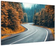 Obraz - Kľukatá cesta (90x60 cm)