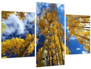 Obraz - Aspen (90x60 cm)