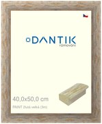 DANTIK rám na obraz 40x50 | PAINT žlutá velká (Plexi Čiré)