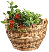 Zahradní koš Mentapriemer 55(cm) x v. 34(cm)