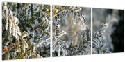 Obraz - Detail vetvy (s hodinami) (90x30 cm)