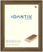 DANTIK rám na obraz 40x50 | LEDVINKA dýha ořech (Sklo Čiré)