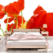 Sablio Tapeta Tulipány - 125x75 cm