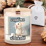Krásna sviečka s praskajúcim knôtom 450g - Zapáľ ma až dokadíš