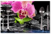 Sablio Prestieranie Orchidea na kameňoch: 40x30cm