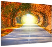 Obraz - Brána z korún stromov (70x50 cm)