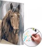 Maľovanie podľa čísel HNEDÝ ŽREBEC – nízka náročnosť 40x60 cm