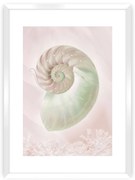 Plagát Pastel Pink III