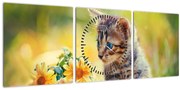 Obraz mačiatka pozerajúce sa na kvetinu (s hodinami) (90x30 cm)