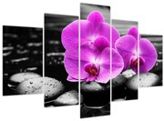 Obraz - Fialové orchidey (150x105 cm)