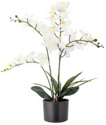 Umelá kvetina (výška 84 cm) Orchid – Bloomingville