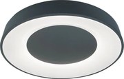 Rabalux 3082 Ceilo Stropné svietidlo LED D480mm 38W/3200lm 3000-6500K čierna, biela, stmievateľné, diaľkové ovládanie
