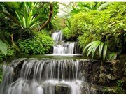 Fototapeta, Vodopády, 315 x232cm