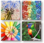 Obraz na stenu Colorful vibes | rôzne rozmery