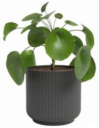 Keramický kvetináč ø 15 cm Luna – Artevasi