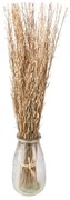 Béžovo-hnedá kytica sušená - 20*6*80 cm