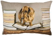 Plátený vankúš s jazvečíkom a okuliarmi na učebniciach - 35 * 50 * 10cm