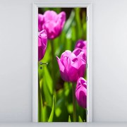 Fototapeta na dvere - Tulipány na lúke (95x205cm)