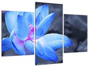 Obraz kvetu v detaile (90x60 cm)