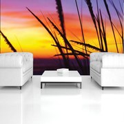 Fototapeta - Tráva na pláži (152,5x104 cm)