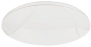 Stropné LED svietidlo Allister, 1x LED 50w, 3000-6000k, w, s ovládačom