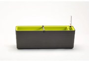 Plastia Samozavlažovací truhlík Berberis 60, antracit + zelená, 60 cm