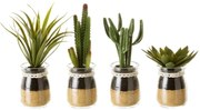 Umelé rastliny v súprave 4 ks (výška 18 cm) Cactus – Casa Selección