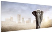 Obraz - Sloníčka vo veľkomeste (120x50 cm)