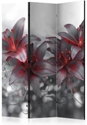 Artgeist Paraván - Shadow of Passion [Room Dividers]